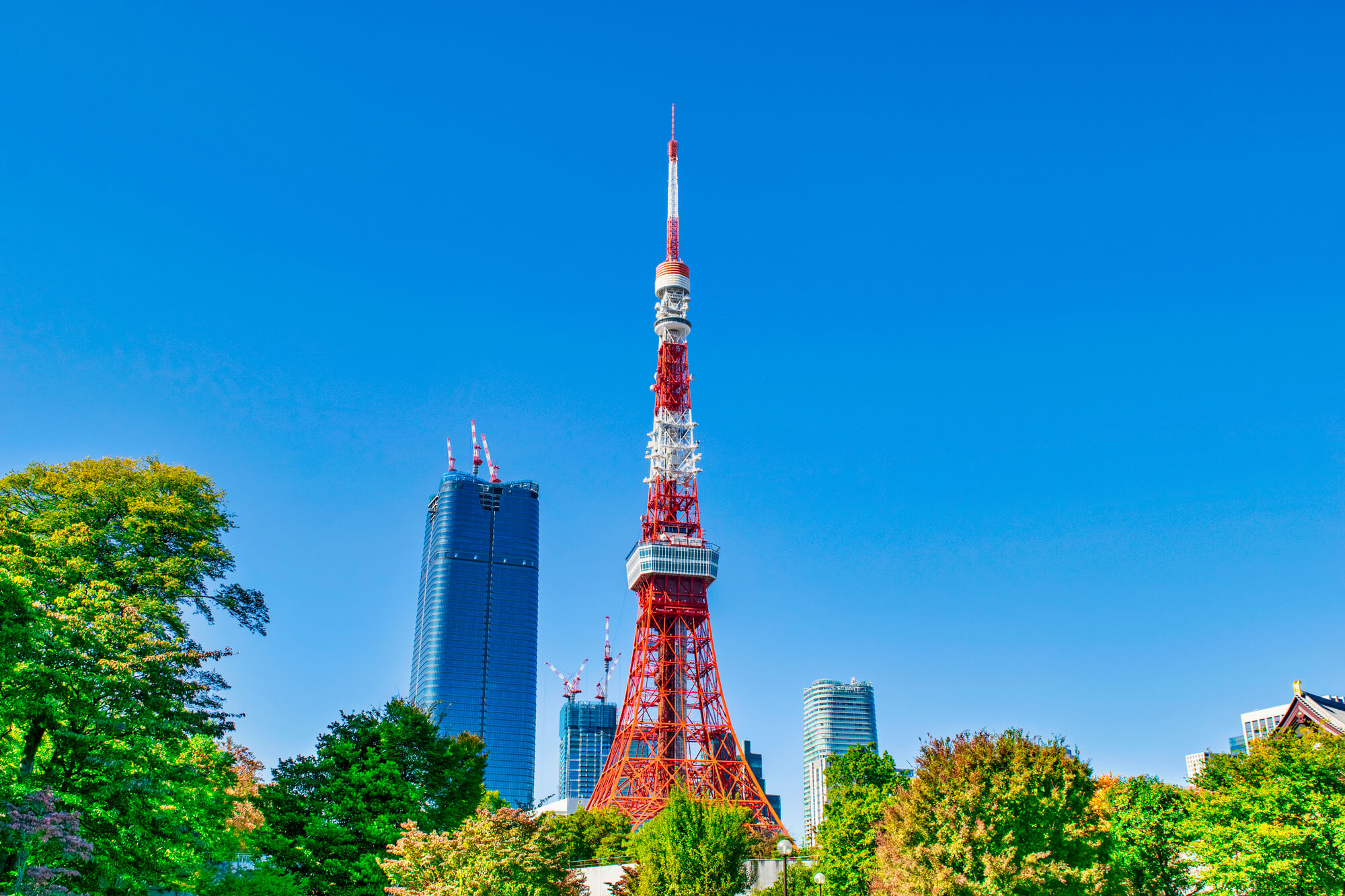 東京都港区のおすすめの不動産買取業者や売却に強い会社はどこ？